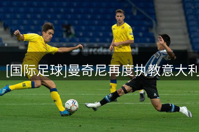 [国际足球]曼奇尼再度执教意大利队